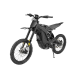E Ride PRO-S17