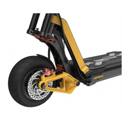 InMotion RS
