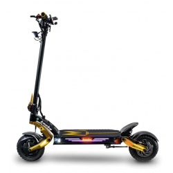 Kaabo Mantis King GT