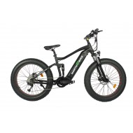 Mid Drive Ebike Fat Tire