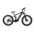 Mid Drive Ebike Fat Tire