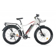 NorthEbike Mountain (WHITE) NorthEbike Mountain (WHITE)