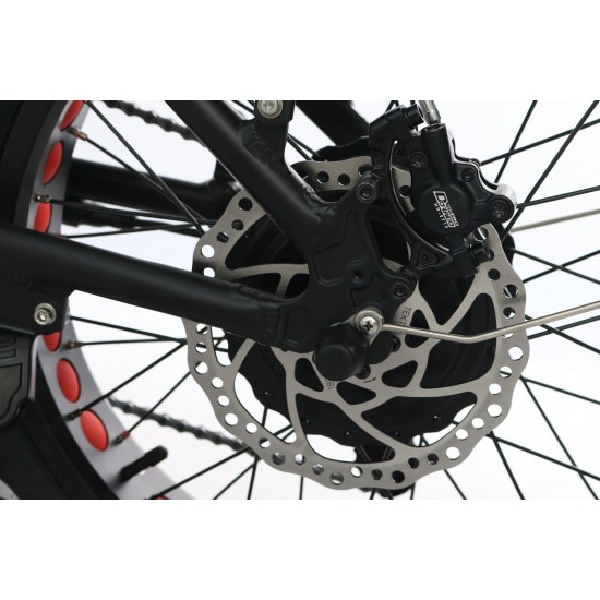 NorthEbike Mountain (BLACK)