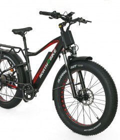 eBikes